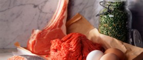Difference Between Plant Protein and Animal Protein