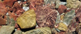 Rocks and Minerals