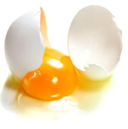 Egg Hair Conditioner Recipe