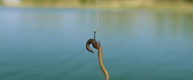 A Fishing Hook Baited With An Earthworm