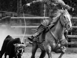 Team Roper