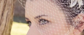 Clean a Birdcage Veil