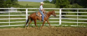 Construct a Round Pen for a Horse