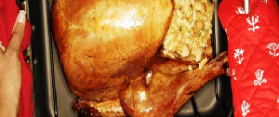 Cook Turkey with Beer
