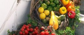 Natural Food Menu