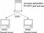 A Primary Domain Controller in a Microsoft network