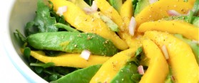 Dash Diet