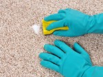 Get Hair Shampoo Out Of Carpets