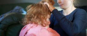 How to Get Rid of Nits in No Time
