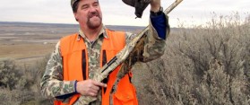 Hunt Quail without a Dog
