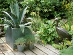 Landscape Plants & Fescue