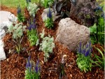Apply Mulch On Your Garden