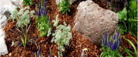 Apply Mulch On Your Garden