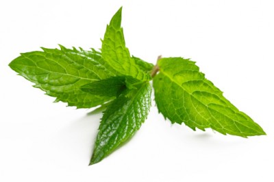 Mint