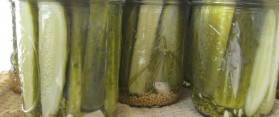 Pickles, crisp and sour