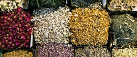 Tips to Make Indian Herbal Shampoo At Home