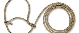 Calf Rope Halter