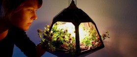 Make a Hanging Lamp