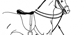 A Horse Martingale