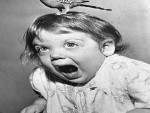 Tips to Overcome Fear of Birds