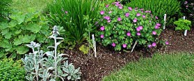How to Plant a Small Herb Garden in Your Lawn