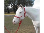 Tips about How to Put on a Rope Halter