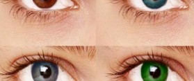 Human Eye Color Chart