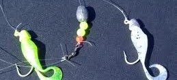 Bass Assassin