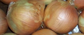 Slice and Dice an Onion
