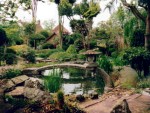 Japanese Garden