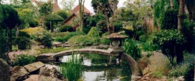 Japanese Garden