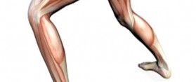 Strengthen Knee Muscles After Knee Replacement