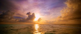 Beautiful Landscape