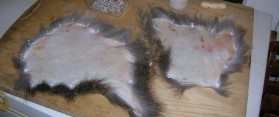 Tan Deer Skin While Leaving the Hair