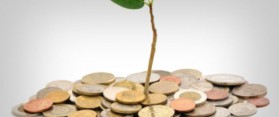 Venture Capitalist and Angel Investor