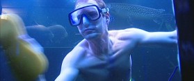 How to Clean Aquarium Reef
