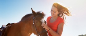 Determine if a Horse Is Sick