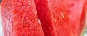 Seedless Watermelons