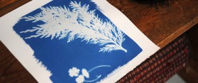 How to Make a Cyanotype