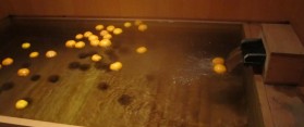 Hot Yuzu Bath