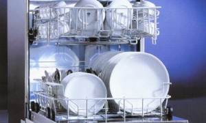 Clean Dishes in Dishwasher
