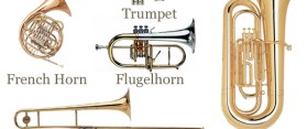 Brass Instruments.