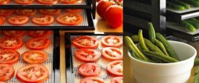 Dehydrated Food