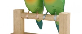 Get a Flighted Parrot to Return