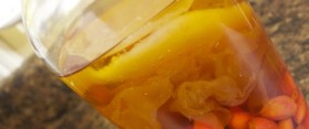 Rose-Hip Wine