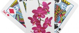 Perform the Playing Card Cascade