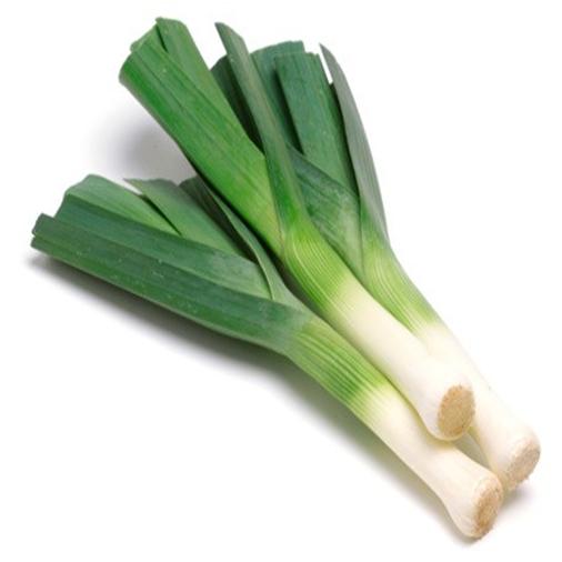 Difference between Leek and Spring Onion