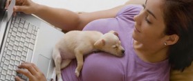 Calm Down a Puppy at Night