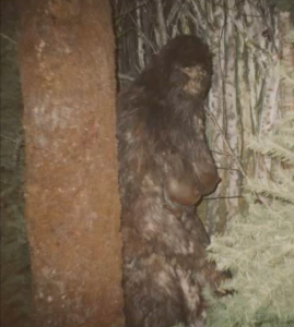 sasquatch