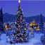 History of Christmas Tree & Lights